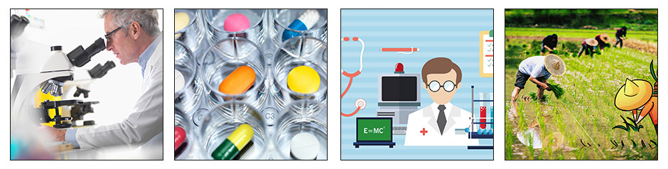 真空恒溫干燥箱 真空恒溫干燥箱